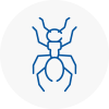 Ant Removals In Bromyard