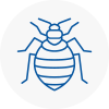 Bed Bug Extermination In Bromyard