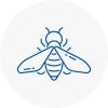 Bee Nest Removal Bromyard