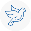 Bird Prevention Bromyard