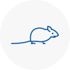 Mice Exterminators In Bromyard
