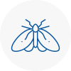 Moth Control Specialists In Bromyard