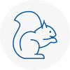 Bromyard Rodent Removals